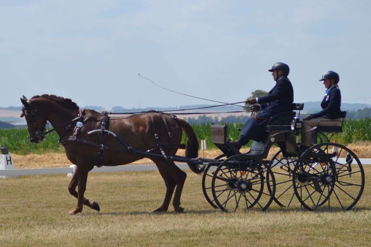 DSC_0110