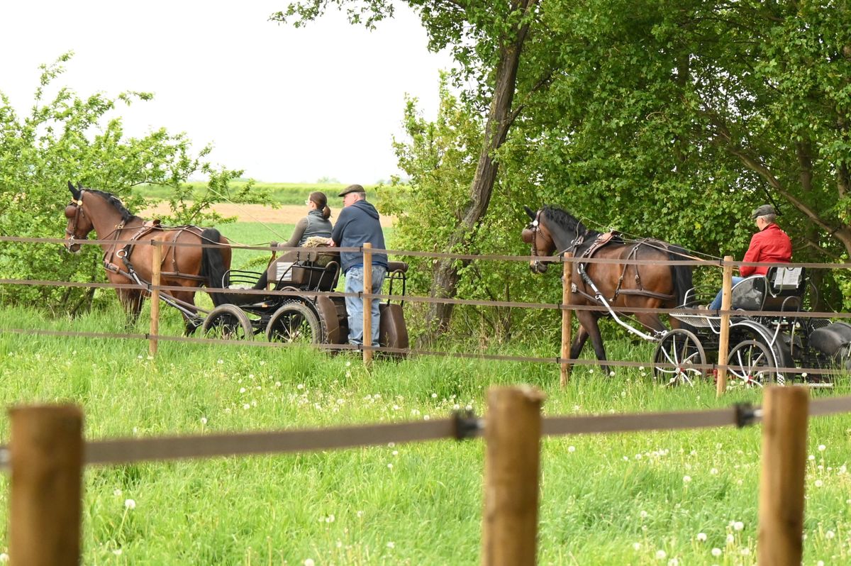 DSC_0919
