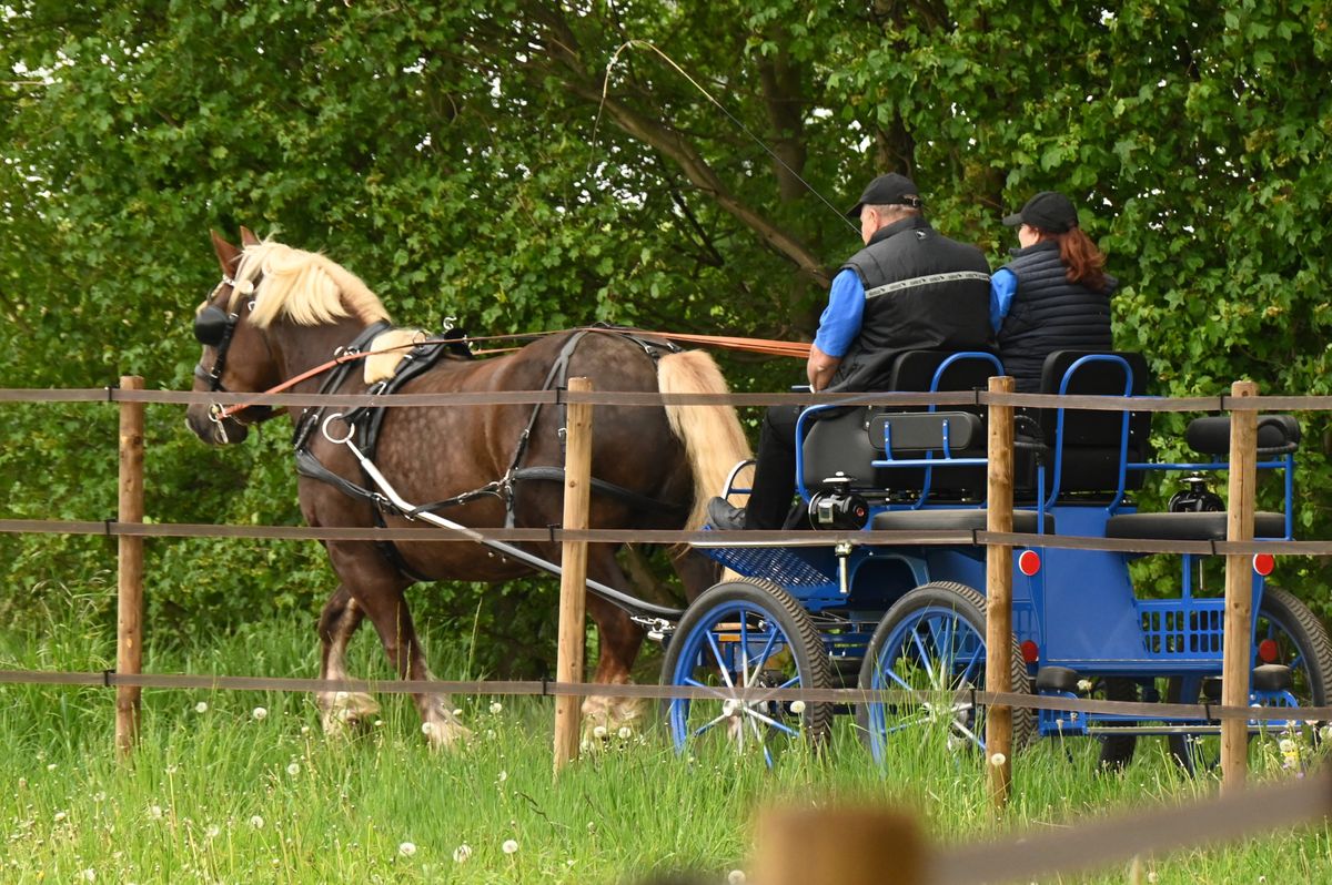 DSC_0966