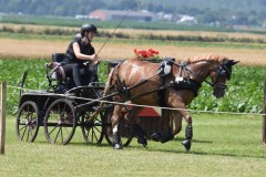 Gelaende-23