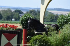 Gelaende-4