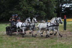 Gelaende-49