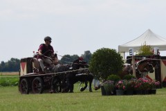 Gelaende-52